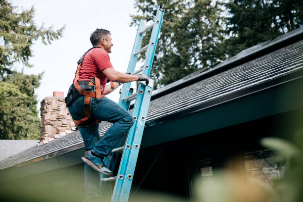Best Roof Installation  in Val Verde, CA