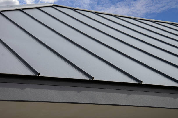 Best Roof Moss and Algae Removal  in Val Verde, CA